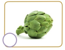 alcachofa